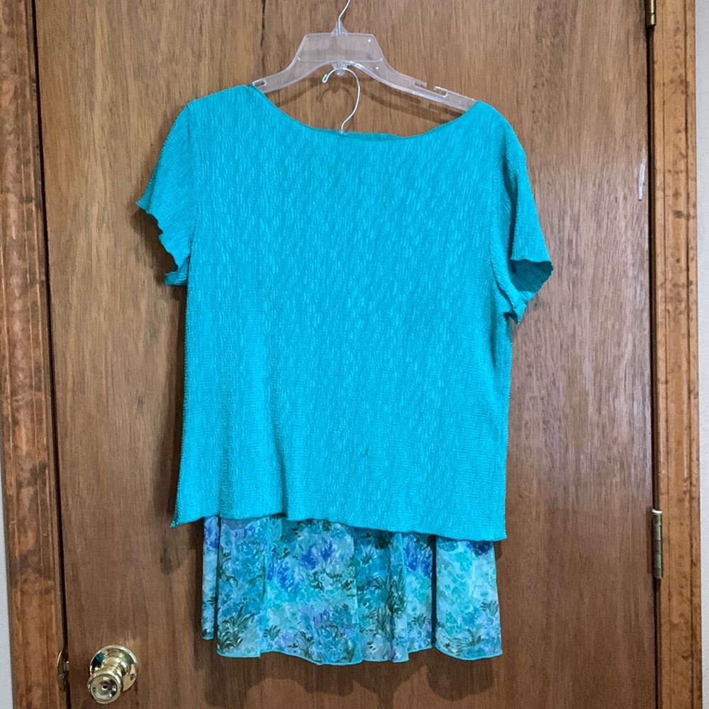 Two Piece Set - Skirt and Top Size Large